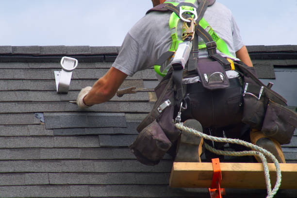 Affordable Siding Repair and Maintenance Services in Durand, MI